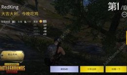 pubg国际服9图最新爆料,九图揭秘游戏新动态