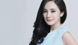 杨幂八卦最新爆料图片大全,揭秘明星私生活瞬间曝光！